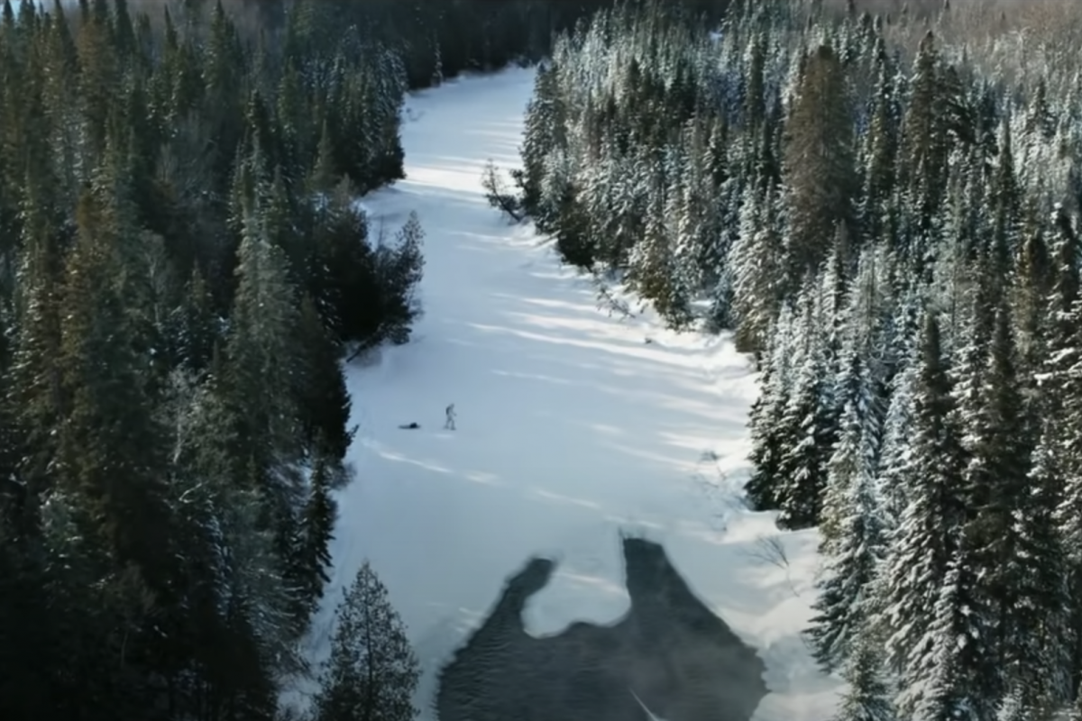 Screen Shot 2021-05-12 at 11.28.42 AM